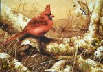 Янтарная картина "Красный кардинал"